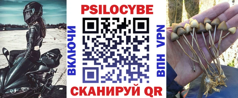 Псилоцибиновые грибы Cubensis  как найти наркотики  Кемерово 