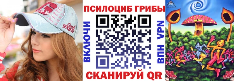 Галлюциногенные грибы Psilocybe Кемерово