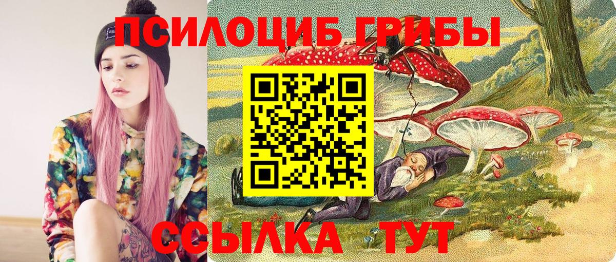 где можно купить   Кемерово  Галлюциногенные грибы ЛСД 