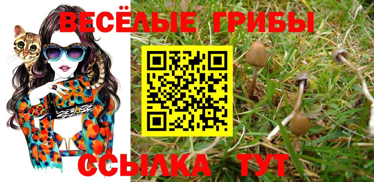 Псилоцибиновые грибы ЛСД Кемерово