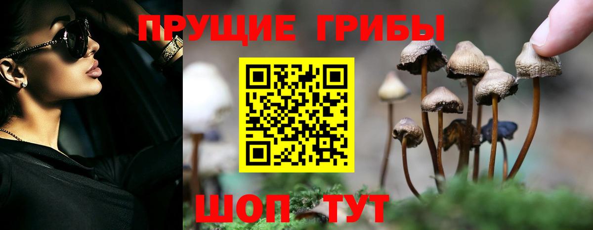 дарнет шоп  Псилоцибиновые грибы мицелий  Вход с VPN  Кемерово 